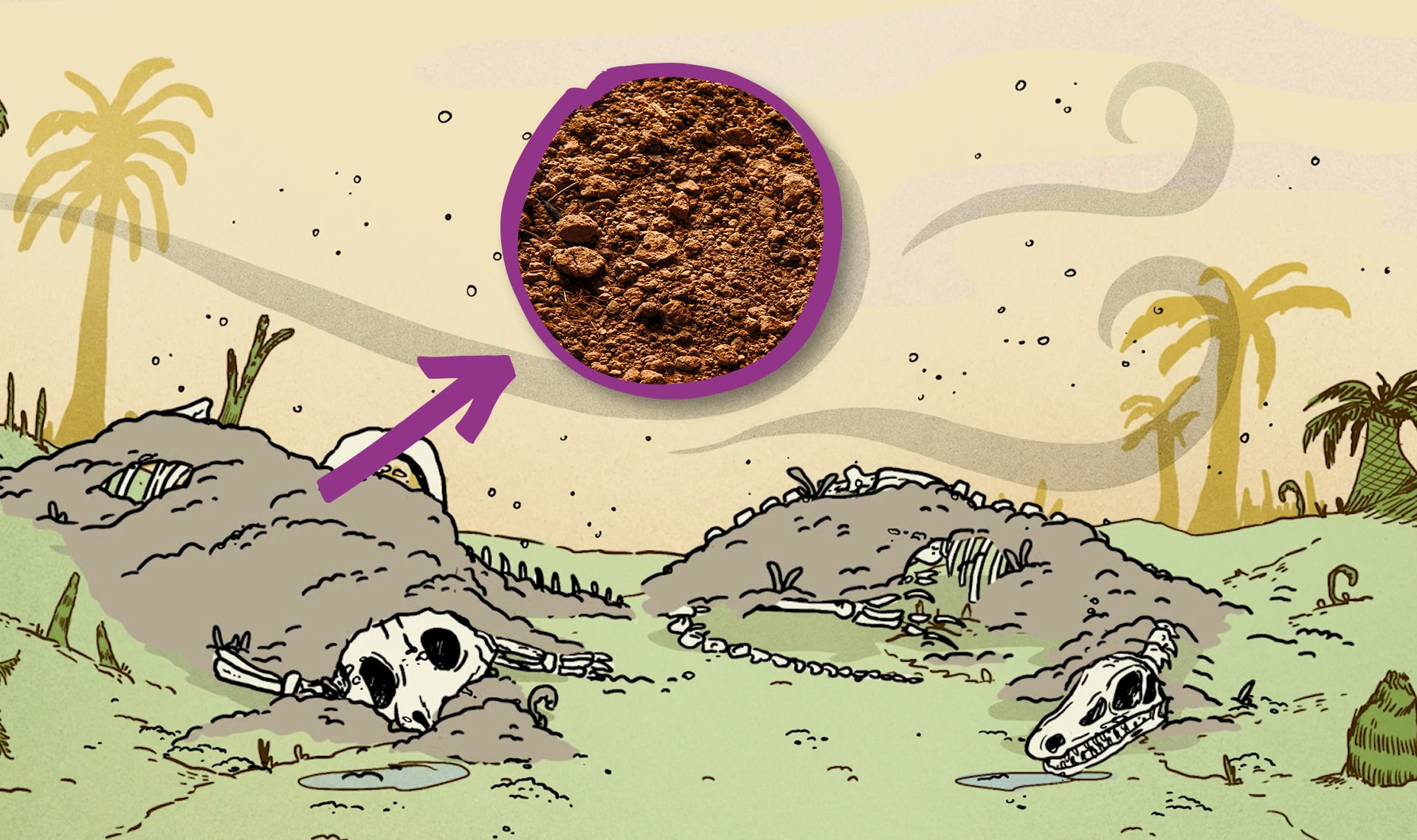 Slide Image