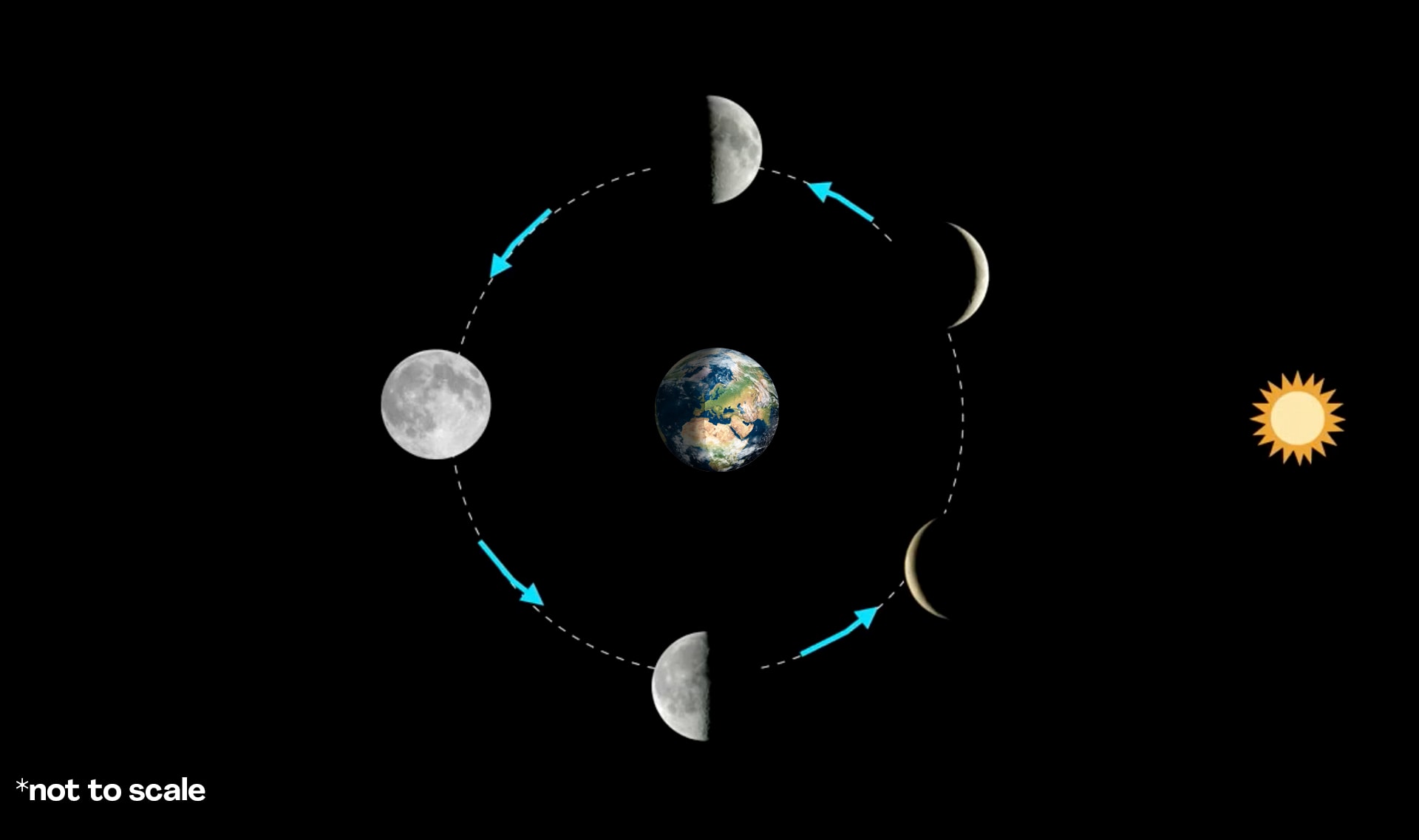 Slide Image