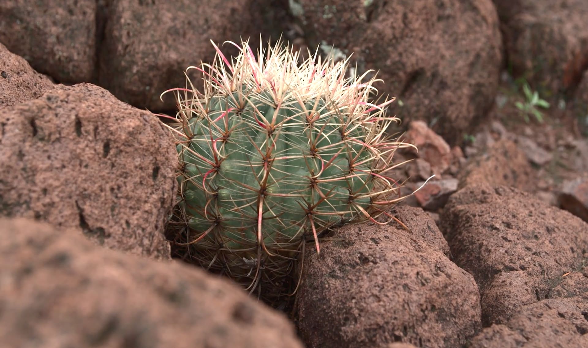 Slide Image