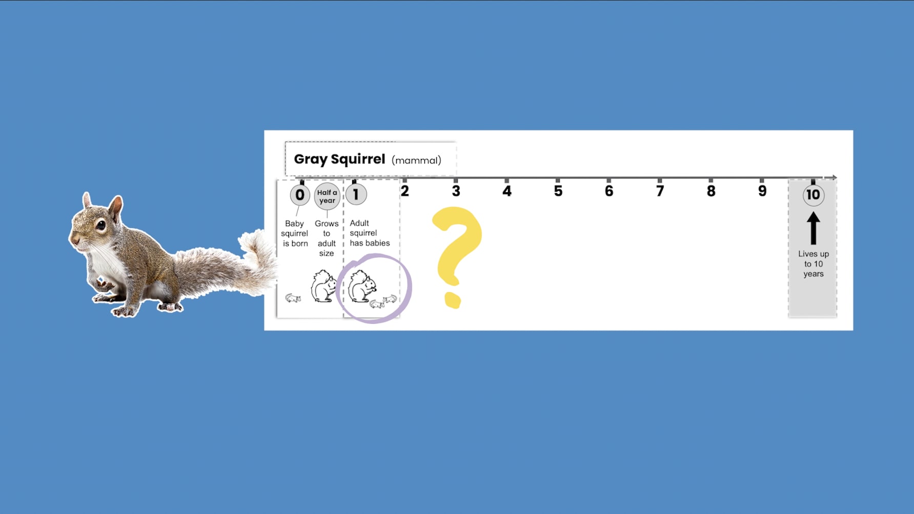 Slide Image