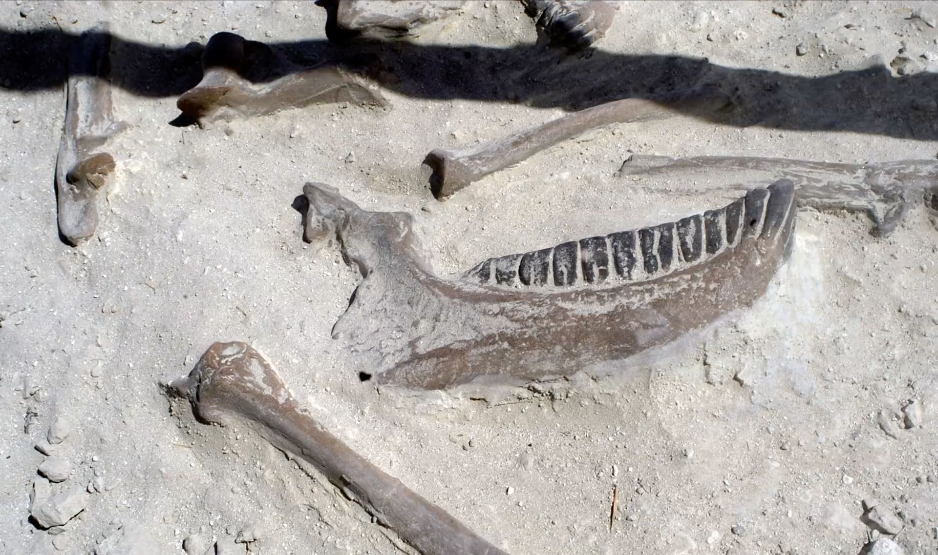 Slide Image