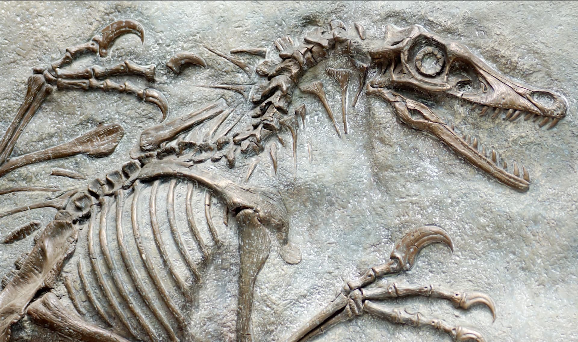 Slide Image