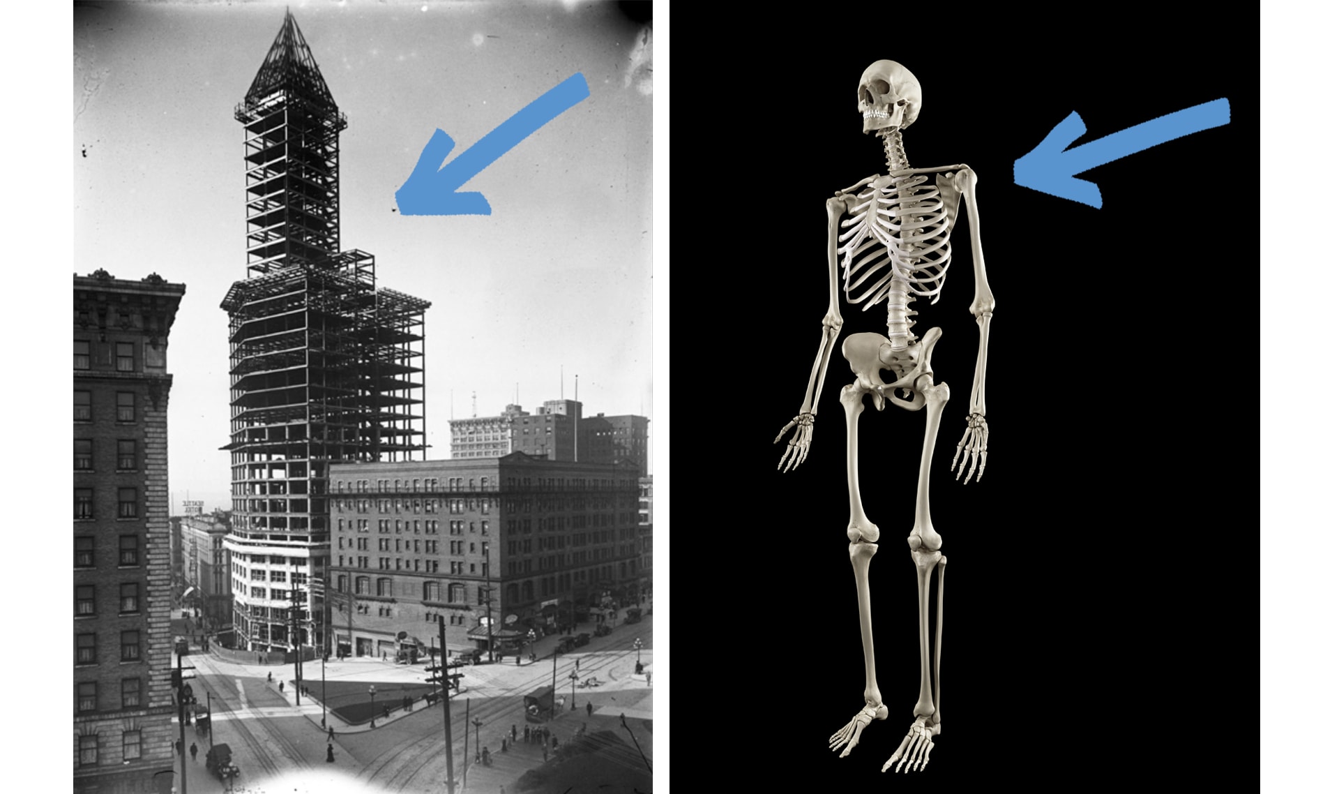 Slide Image