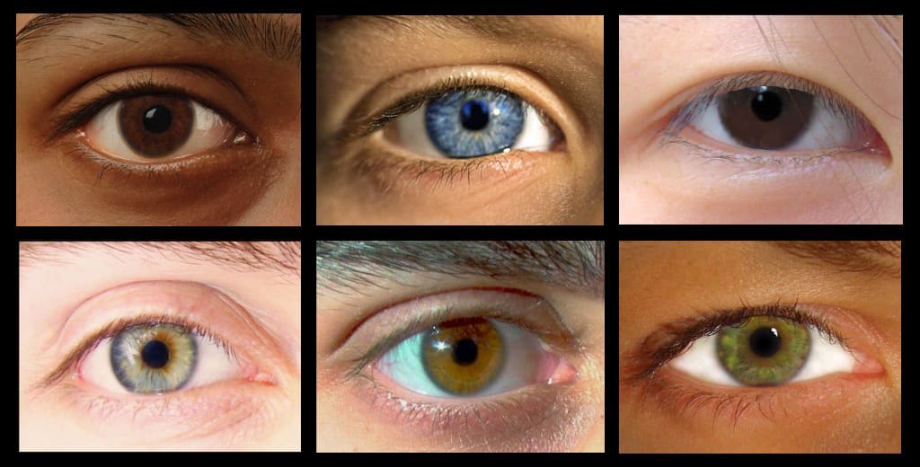 Eyes Comparison