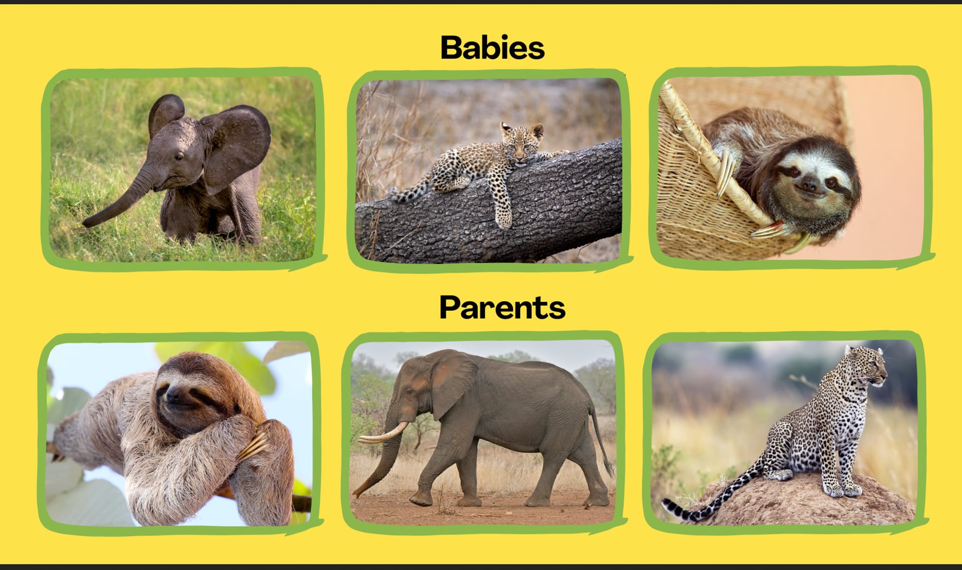 Slide Image