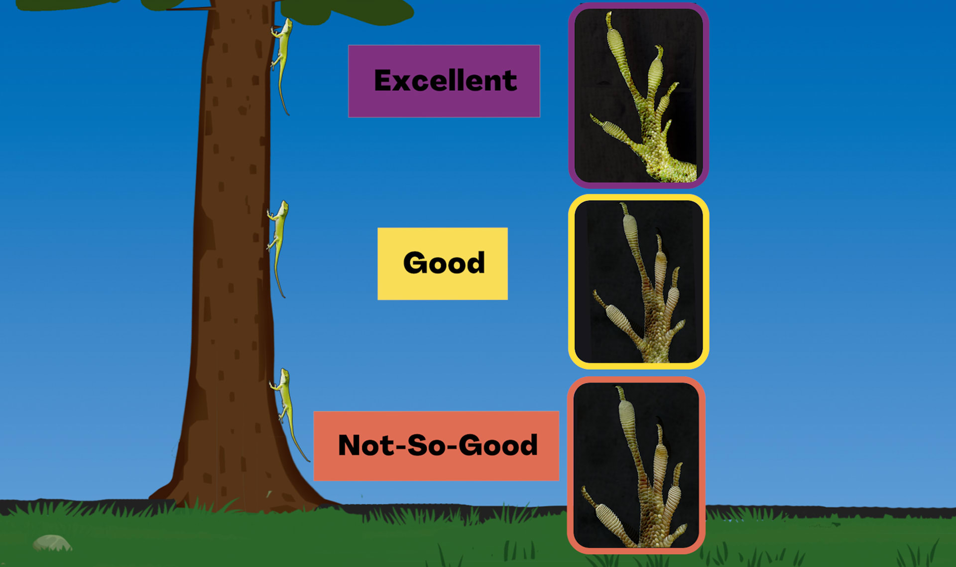 Slide Image