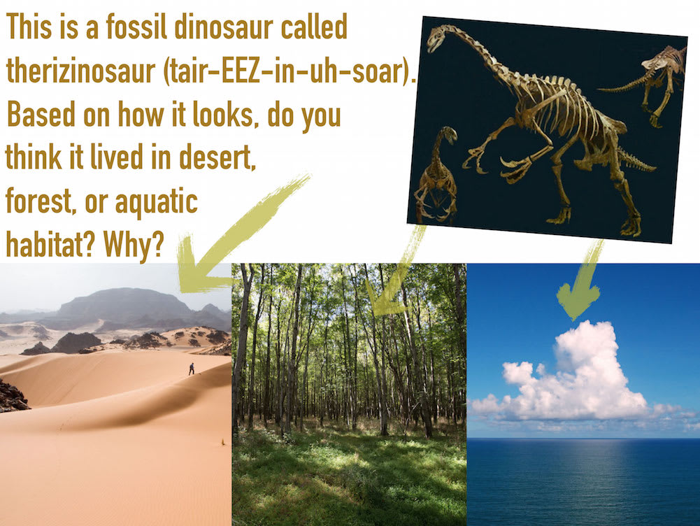 Plesiosaur