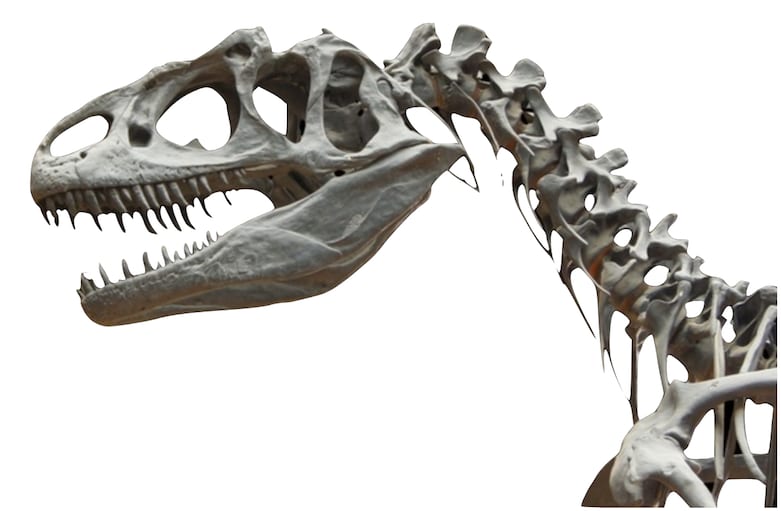 allosaurus