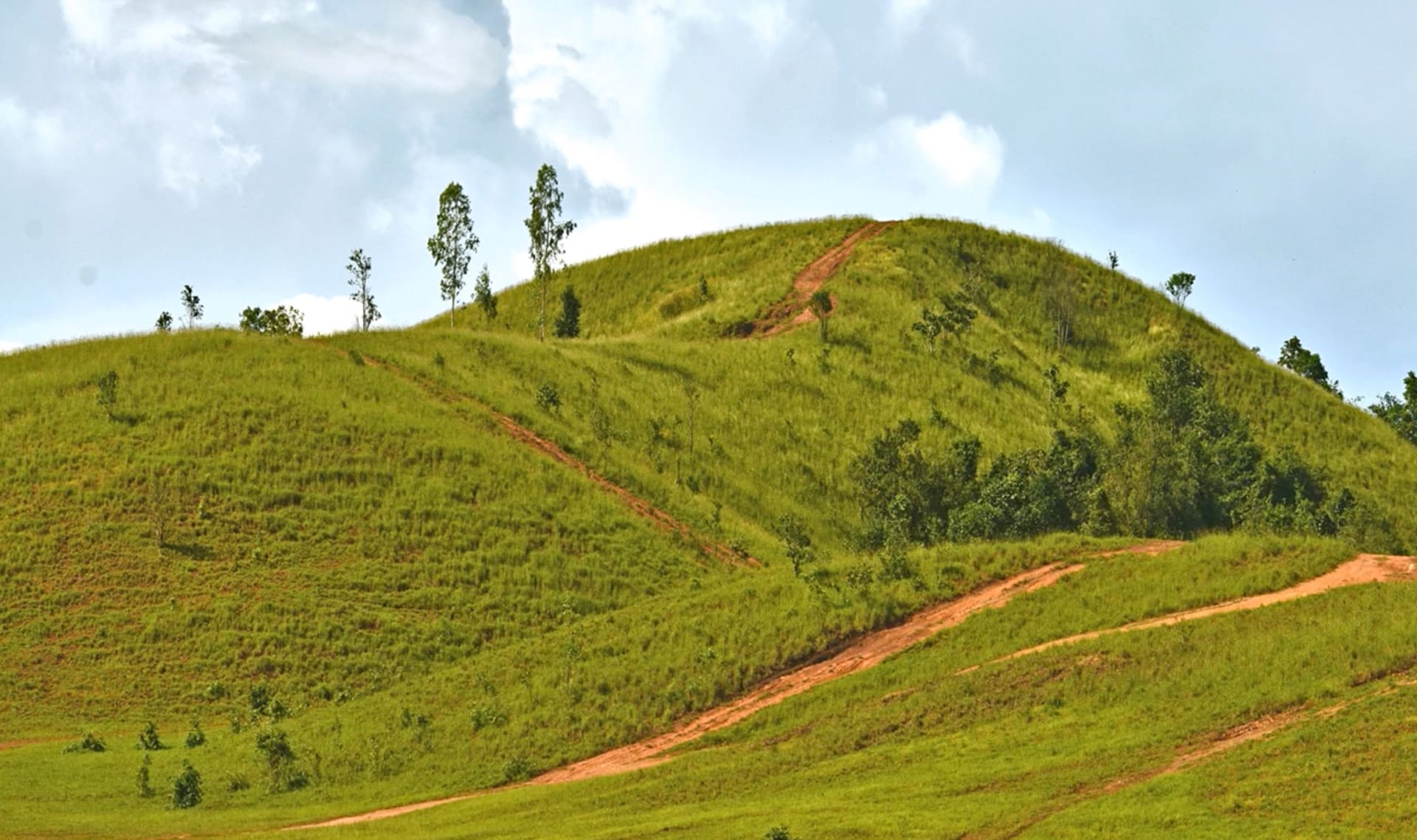 Slide Image
