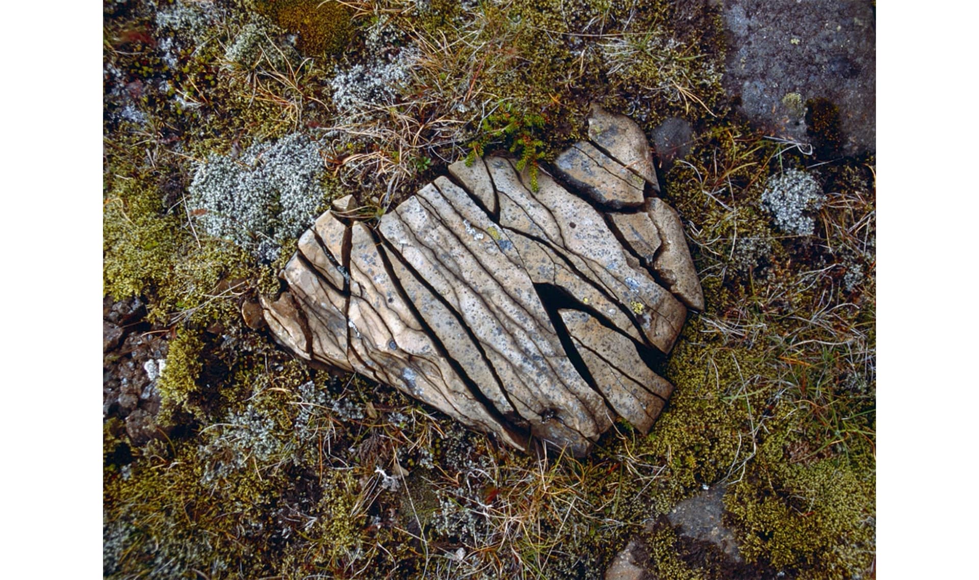 Slide Image