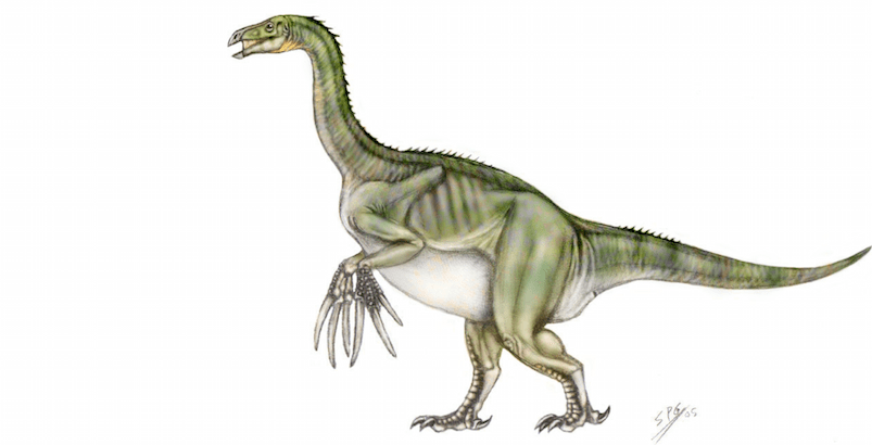 Plesiosaur