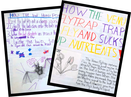 Lesson materials