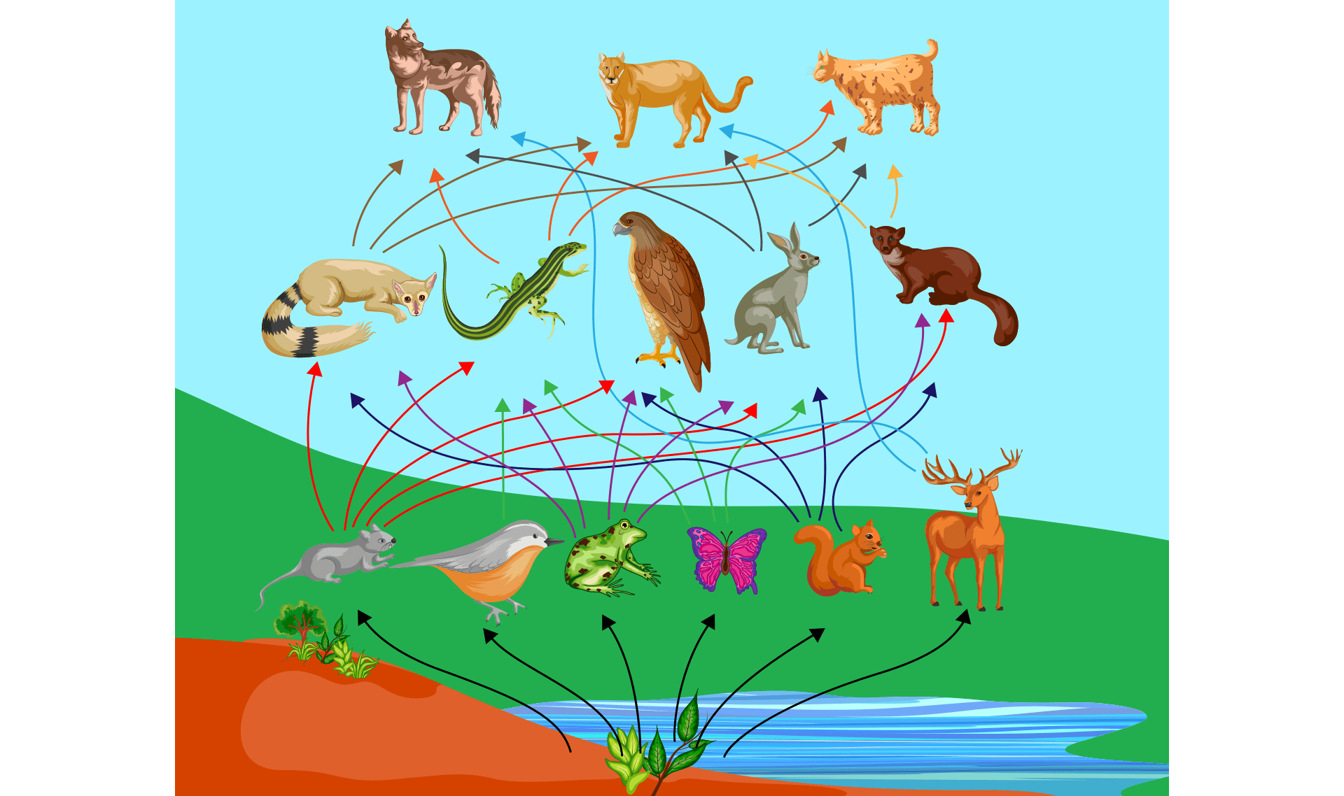 Slide Image